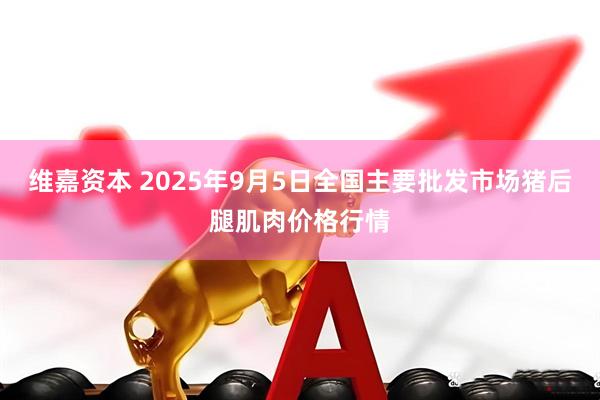 维嘉资本 2025年9月5日全国主要批发市场猪后腿肌肉价格行情