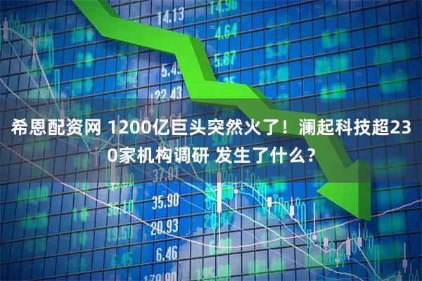 希恩配资网 1200亿巨头突然火了!澜起科技超230家机构调研 发生了什么?