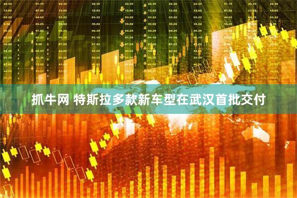 抓牛网 特斯拉多款新车型在武汉首批交付