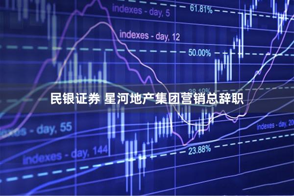 民银证券 星河地产集团营销总辞职