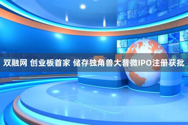 双融网 创业板首家 储存独角兽大普微IPO注册获批