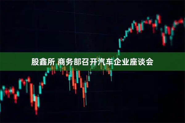 股鑫所 商务部召开汽车企业座谈会