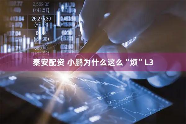 秦安配资 小鹏为什么这么“烦”L3