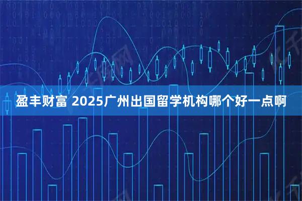 盈丰财富 2025广州出国留学机构哪个好一点啊