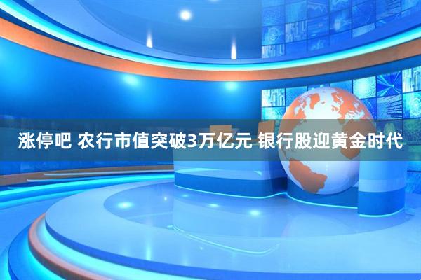 涨停吧 农行市值突破3万亿元 银行股迎黄金时代
